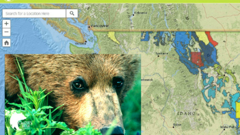 Map_and_Bear_500_333